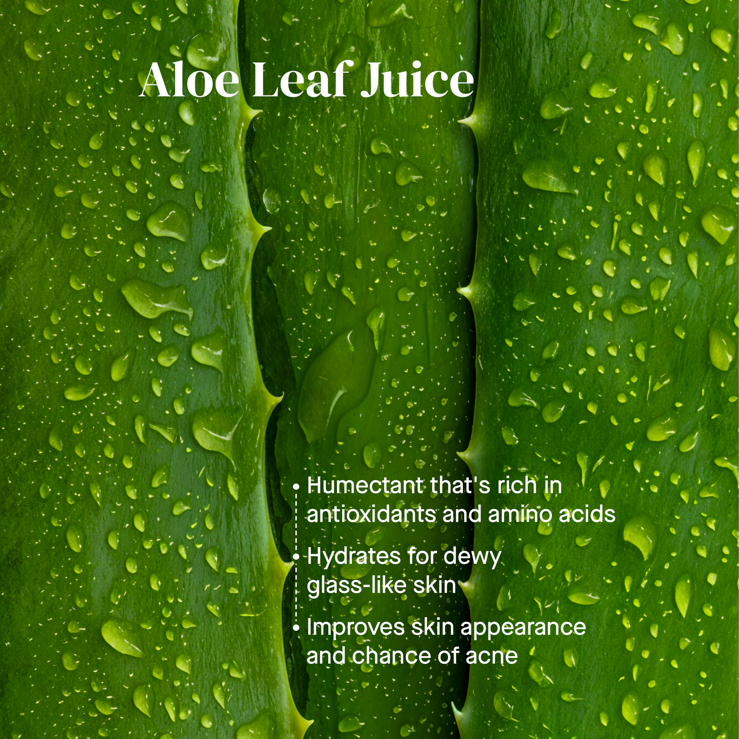 Hydration Boost Oil Foaming Cleanser