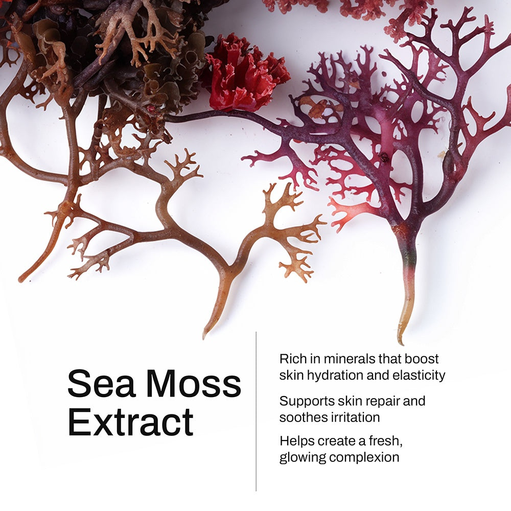 Manuka Honey Sea Moss Oil